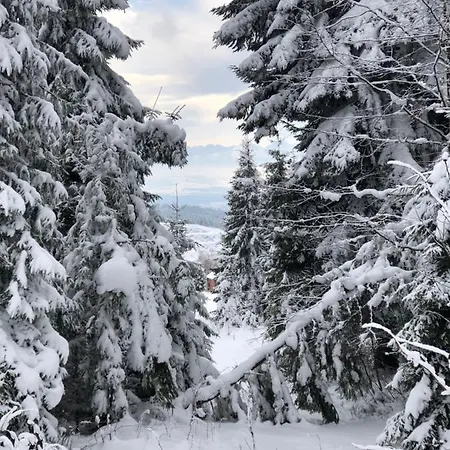 优古塔餐厅酒店 2*